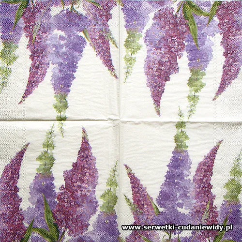0072 Buddleia Cream