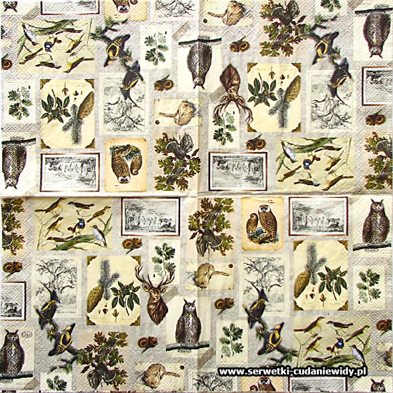 0107 Botanical Collage