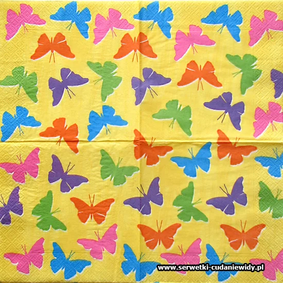0116 Colourful Butterfly