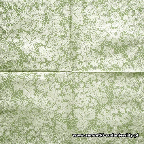 0125 Pretty Lace Light Green