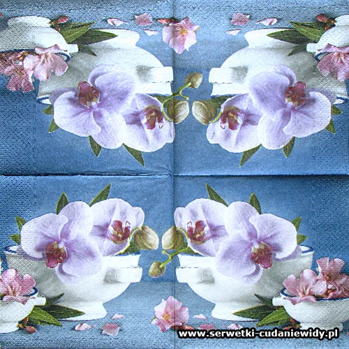 0204 Orchid Composition