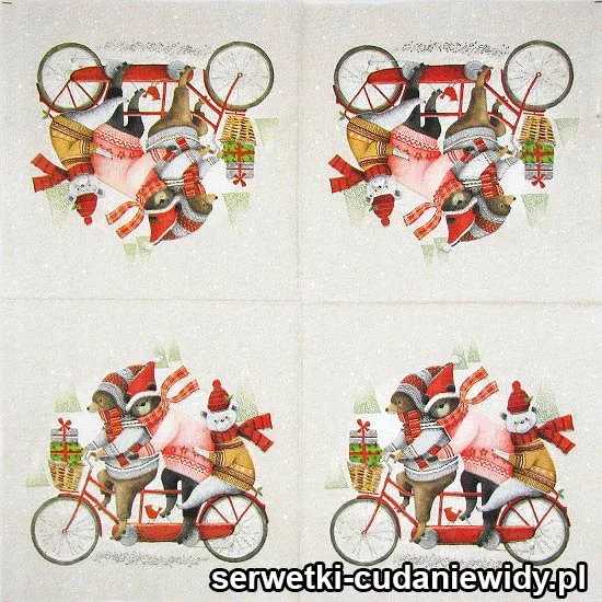 0218 Misie Na Rowerze