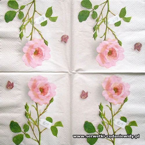 0219 Roses Light