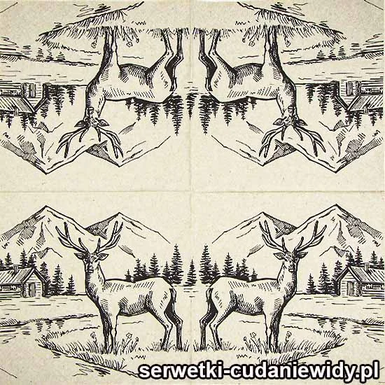 0222 Eko Jeleń Na Rykowisku