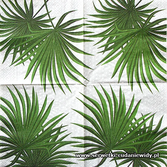 0225 Palm Branch
