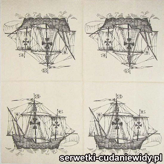 0229 Eko Żaglowiec