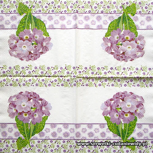 0237 Primula Lilac