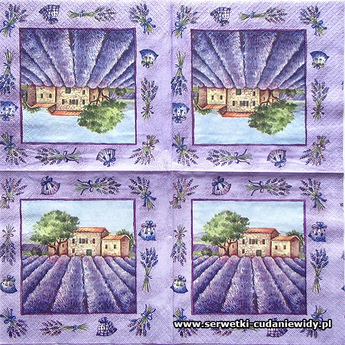 0246 Lavender Field