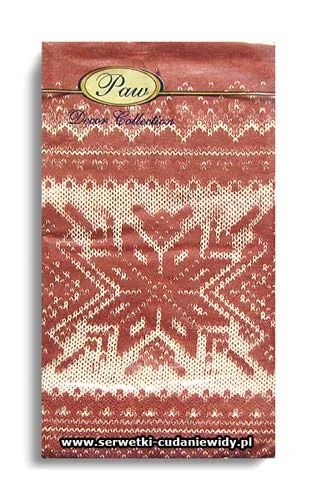 0253PACZKA Winter Design