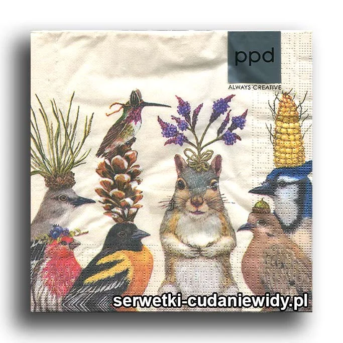 0289PACZKA Szalone Ptaki I Wiewiórka