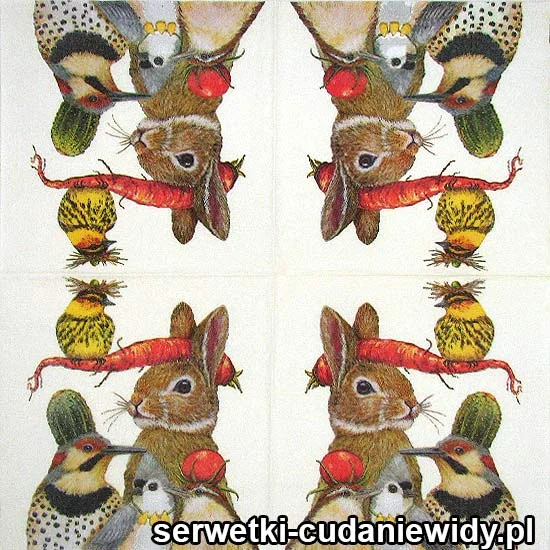 0294 Leśna Impreza