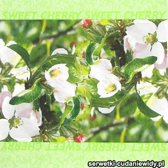 03015 Piękny Wzór