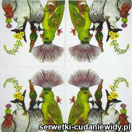 0302 Ptasie Otoczenie