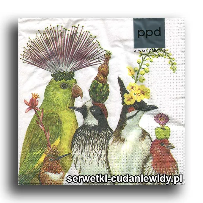 0302PACZKA Ptaki Szalone