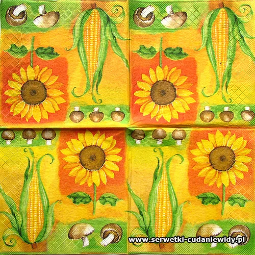 0304 Maize Mushrooms