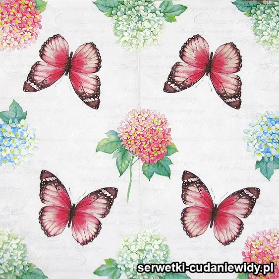 0312 Motyl I Hortensje