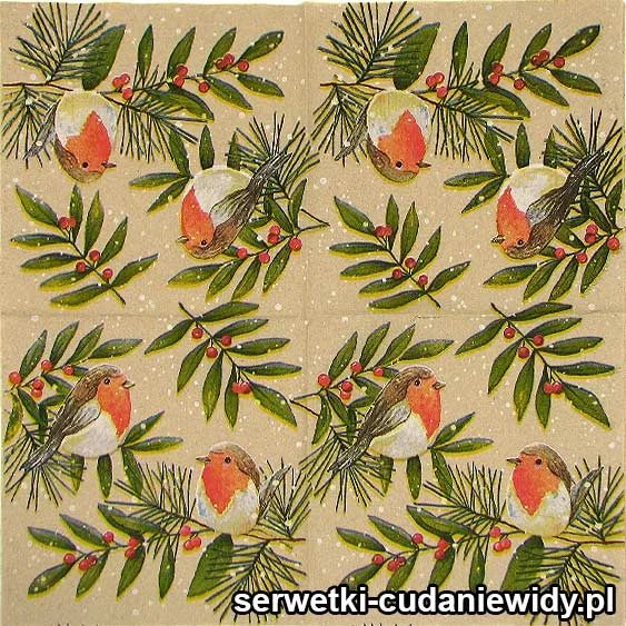 0323 Świąteczne Ptaki Eko