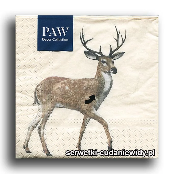0332PACZKA Jelonek Bambi Starszy