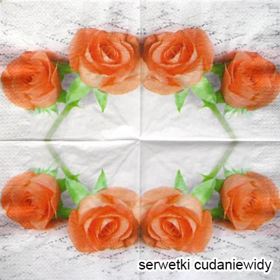 0333 Apricot Roses