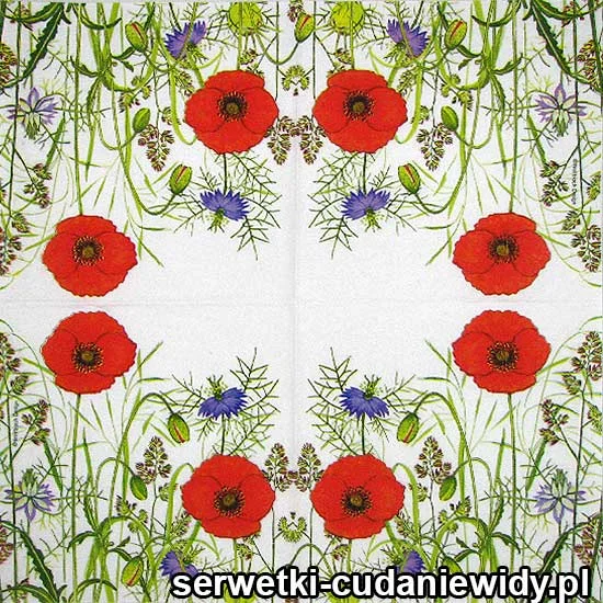 0356 Łąka