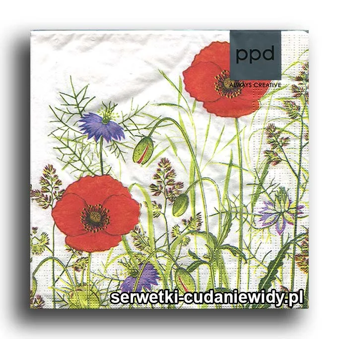 0356PACZKA Urosło Na Gęsto