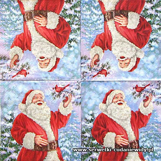 0390 Happy Santa Claus With Bird