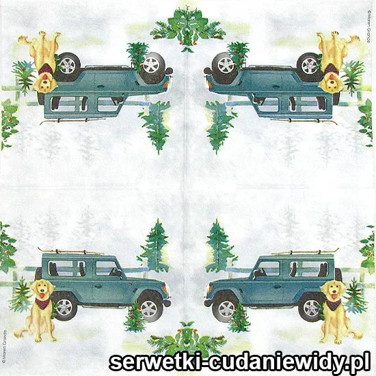 0401 Pies I Jeep