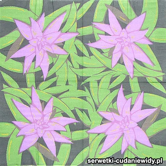 04092 Archiwalny Wzór