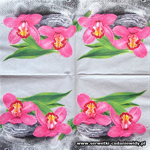 0436 Orchids On Stone