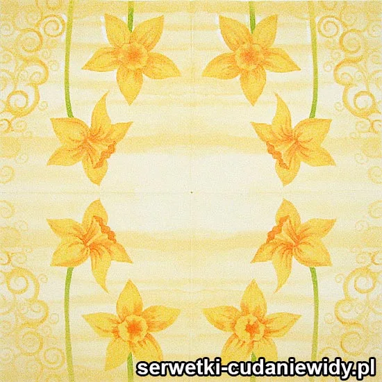 04455 Serwetki Papierowe