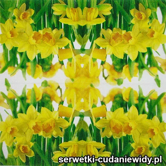 04456 Serwetki Papierowe