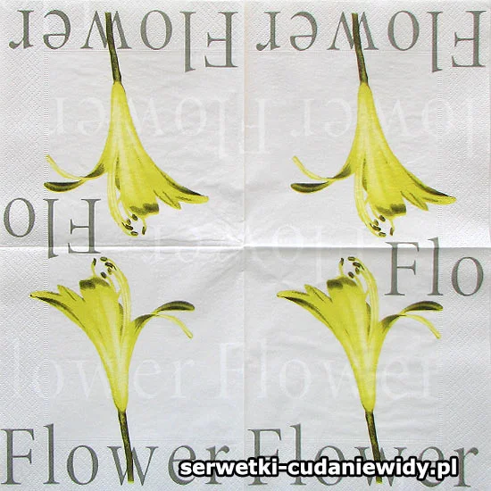 04516 Wzór Archiwalny