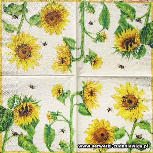 0471 Tournesol Cream
