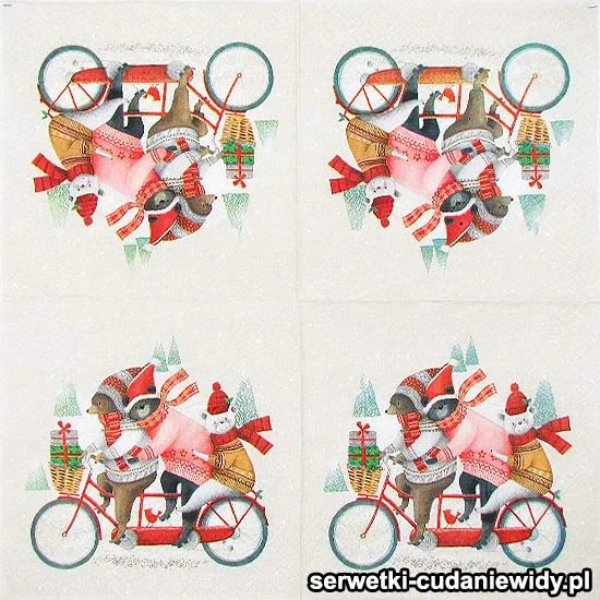 0478 Trzy Misie Na Rowerze
