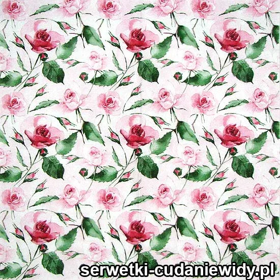 0483 Róże Na Różowych