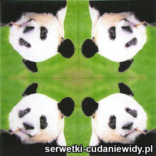 0487 Panda