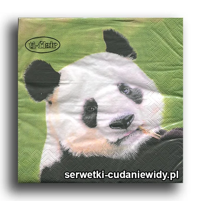 0487PACZKA Miś Panda Po Strawie