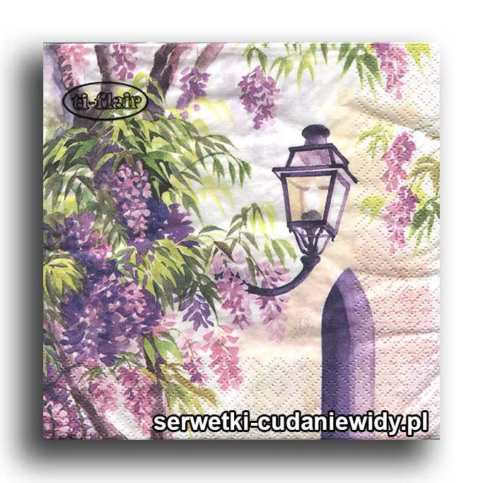 0531PACZKA Krzew Wisterii I Lampa Uliczna
