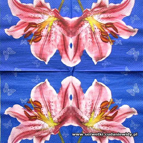 0543 Pink Lily