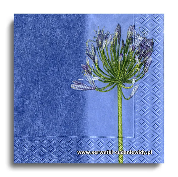 0547PACZKA Field Flower