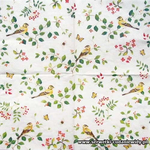 0567 Melody Cream