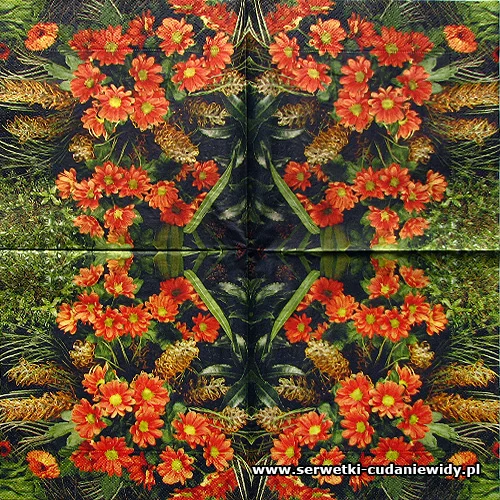 05711 Grandiflora