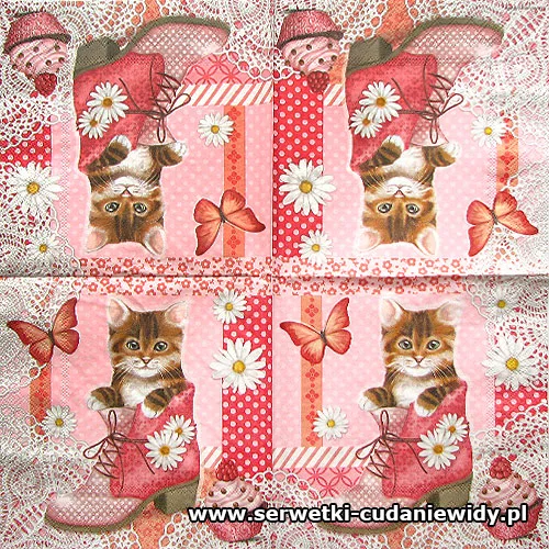 0576 Cat In Shoe