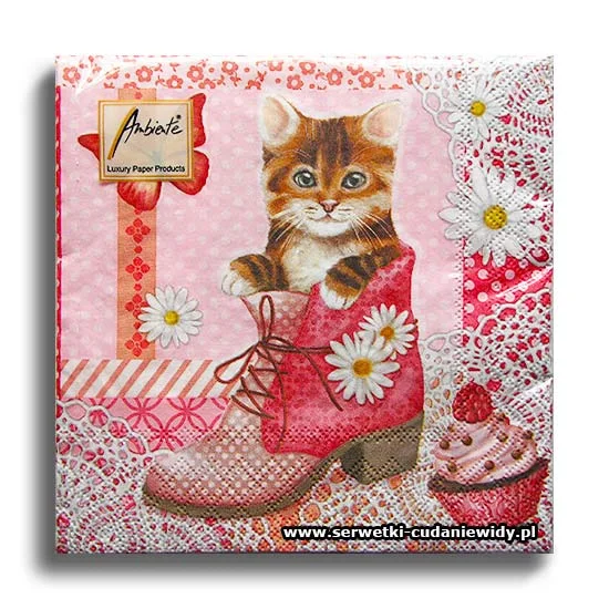 0576PACZKA Cat In Shoe