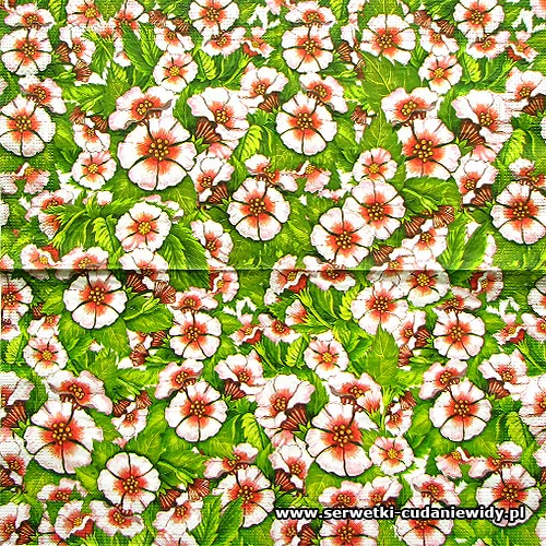 0591 Hanke Tissue