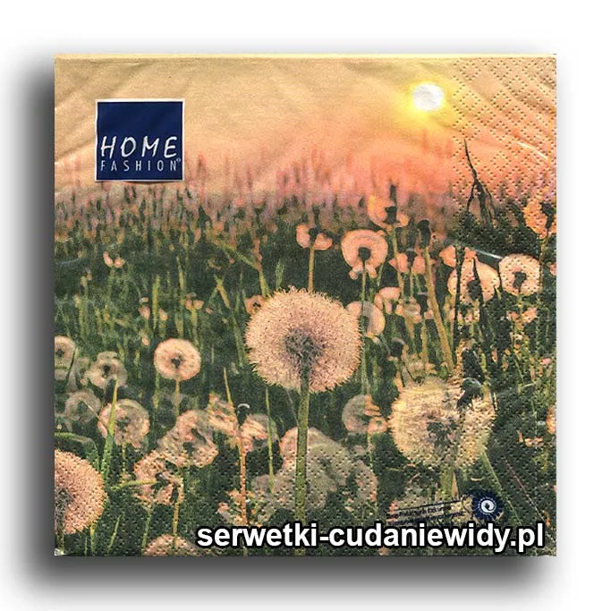 0598PACZKA Dmuchawcowe
