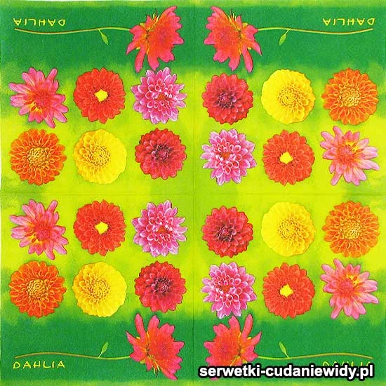 06224 Wzór Unikalny