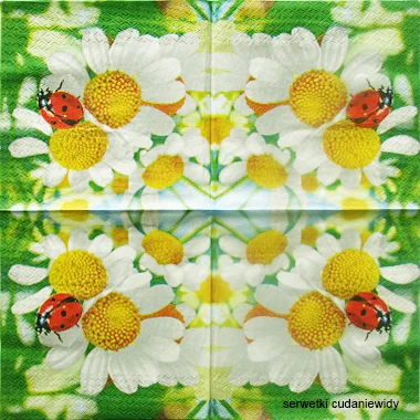 0644 Paper Design