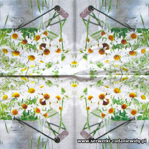 0664 A Bunch Of Daisies