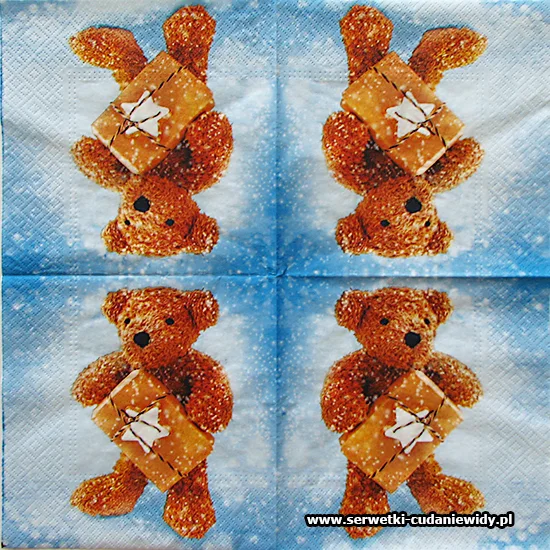 0763 Winter Teddy